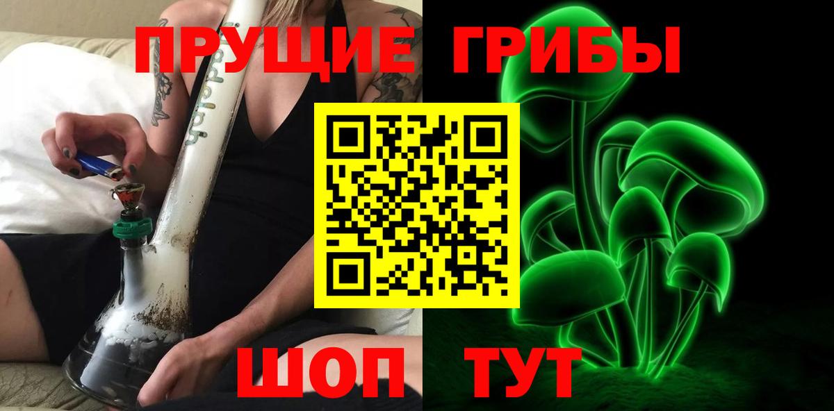 Галлюциногенные грибы Psilocybe Гатчина