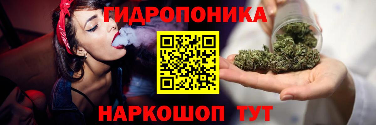 МАРИХУАНА SATIVA & INDICA  Каннабис планчик  Вход с VPN  Шишки марихуана индика  Гатчина 